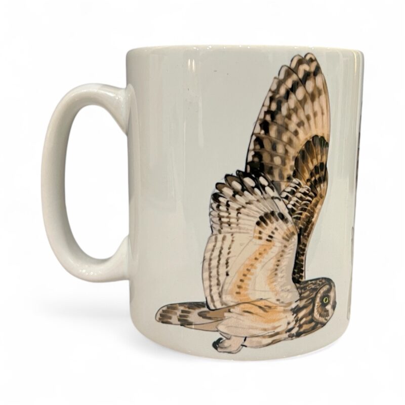 Mixed Owl Mug
