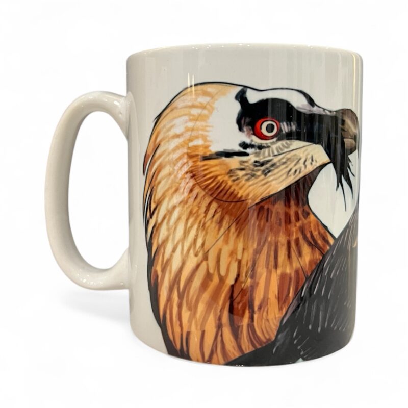 Bearded Vulture Mug
