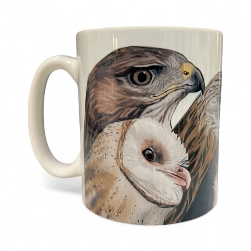 Mixed Birds Of Prey Mug